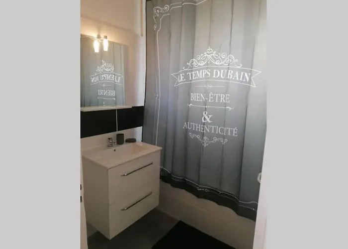 Appartement Entier Bourges Avaricum Centre Ville